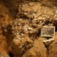 Illustration for article titled Incredible New Artifacts Found In 2,000-Year-Old Mexican Tunnel